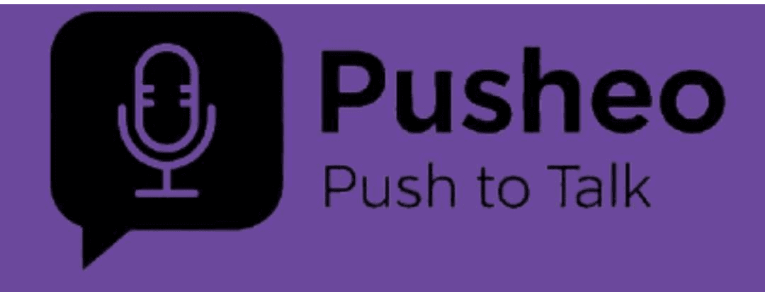 Aperçu de Projet Push To Talk Pusheo